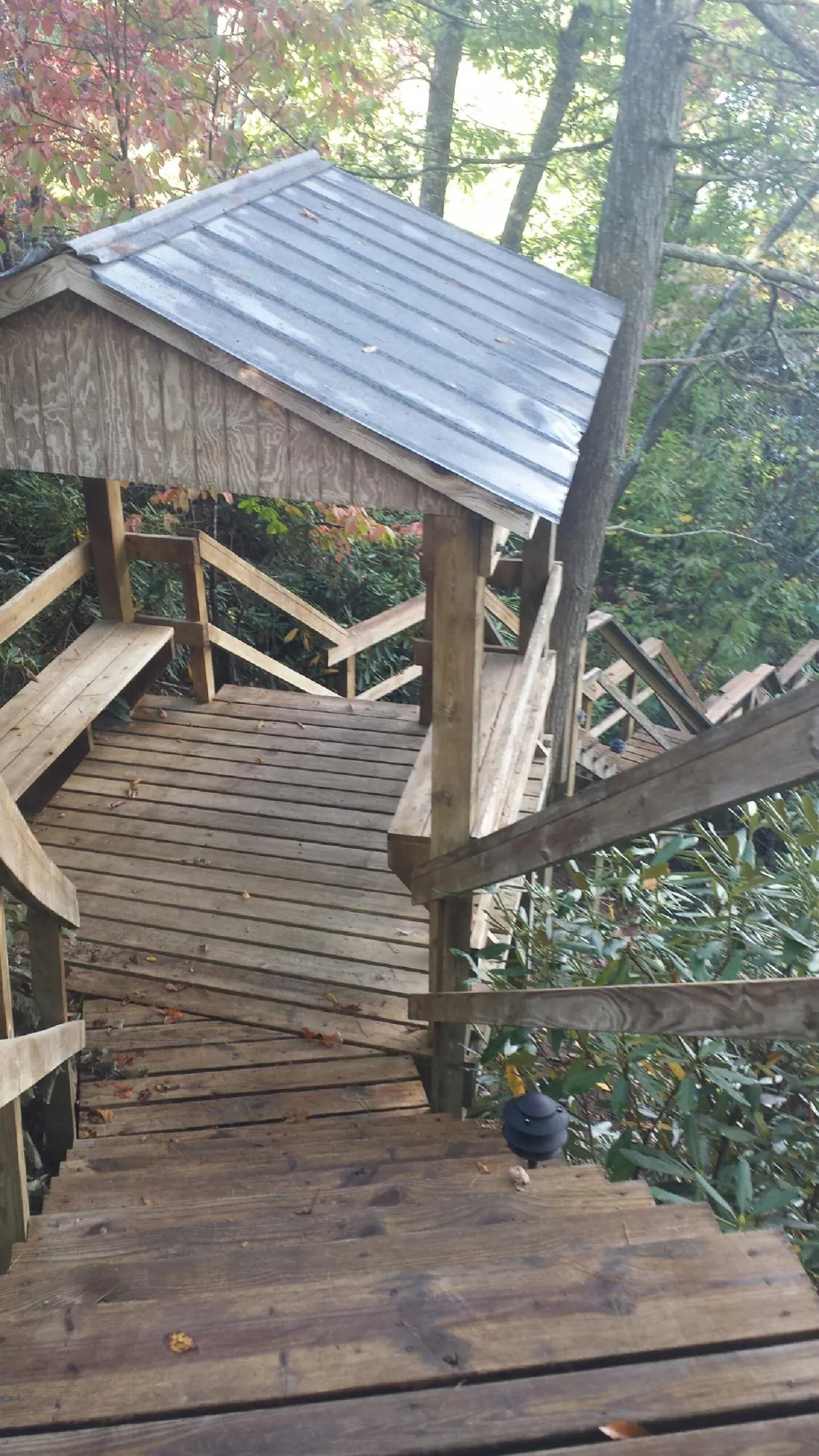 Metal roofed shelter over wooden steps on a wooded walkway — Skylight Repair & Installation work by our crew in Scotts Hill